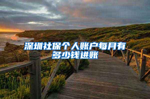 深圳社保个人账户每月有多少钱进账