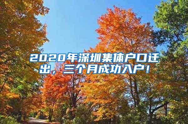 2020年深圳集体户口迁出，三个月成功入户！