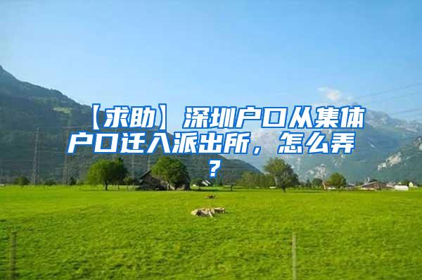 【求助】深圳户口从集体户口迁入派出所，怎么弄？