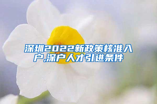 深圳2022新政策核准入户,深户人才引进条件