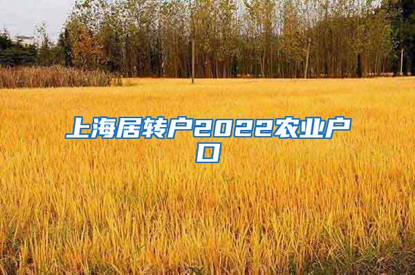 上海居转户2022农业户口