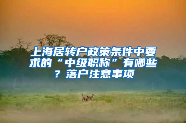 上海居转户政策条件中要求的“中级职称”有哪些？落户注意事项
