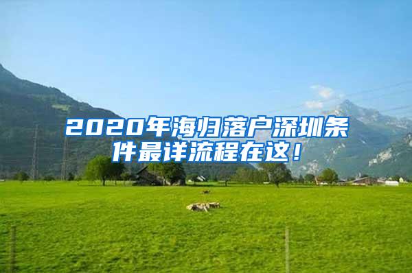 2020年海归落户深圳条件最详流程在这！