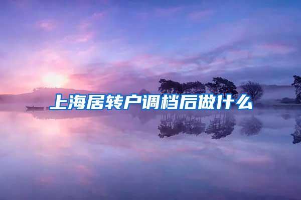 上海居转户调档后做什么