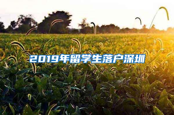 2019年留学生落户深圳