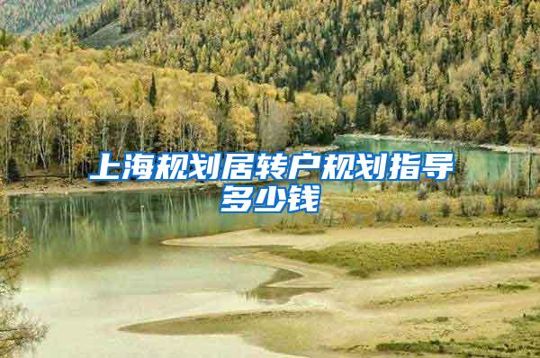 上海规划居转户规划指导多少钱