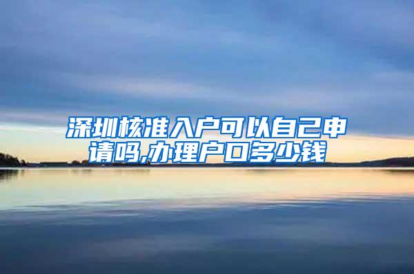 深圳核准入户可以自己申请吗,办理户口多少钱