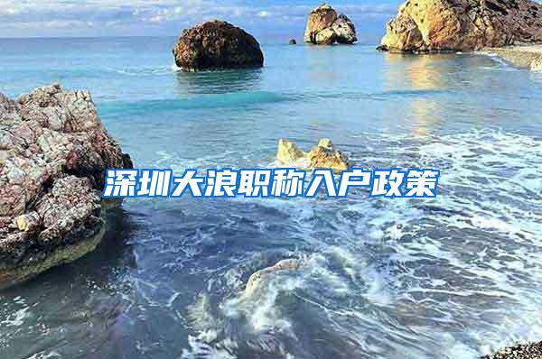 深圳大浪职称入户政策