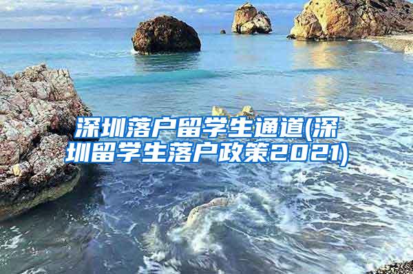 深圳落户留学生通道(深圳留学生落户政策2021)