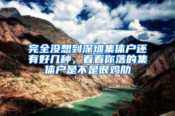完全没想到深圳集体户还有好几种，看看你落的集体户是不是很鸡肋
