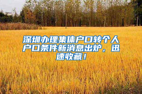 深圳办理集体户口转个人户口条件新消息出炉，迅速收藏！