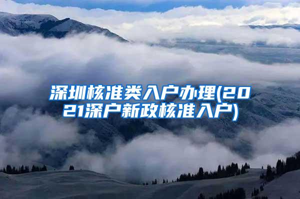 深圳核准类入户办理(2021深户新政核准入户)