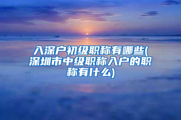 入深户初级职称有哪些(深圳市中级职称入户的职称有什么)