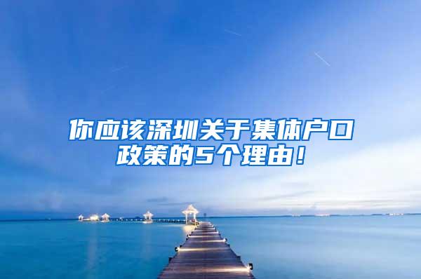 你应该深圳关于集体户口政策的5个理由！