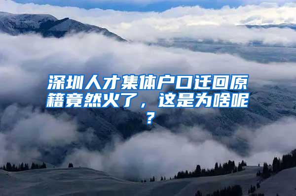 深圳人才集体户口迁回原籍竟然火了，这是为啥呢？