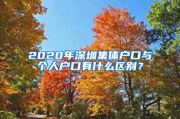 2020年深圳集体户口与个人户口有什么区别？