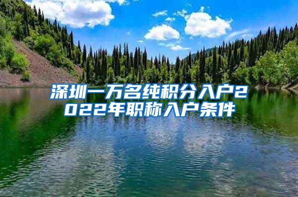 深圳一万名纯积分入户2022年职称入户条件