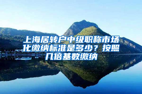 上海居转户中级职称市场化缴纳标准是多少？按照几倍基数缴纳