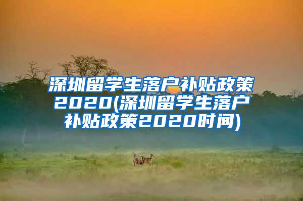 深圳留学生落户补贴政策2020(深圳留学生落户补贴政策2020时间)