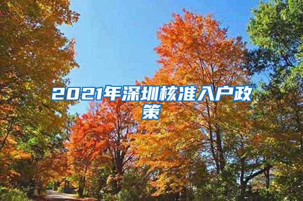 2021年深圳核准入户政策