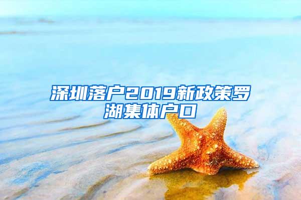 深圳落户2019新政策罗湖集体户口