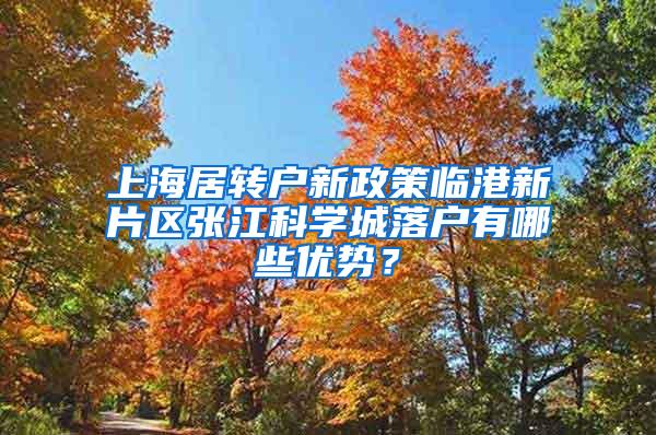 上海居转户新政策临港新片区张江科学城落户有哪些优势？