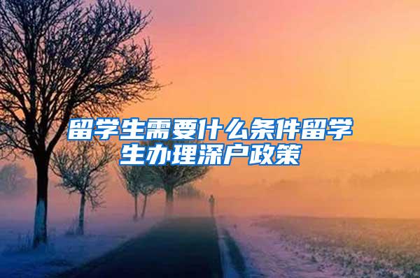 留学生需要什么条件留学生办理深户政策