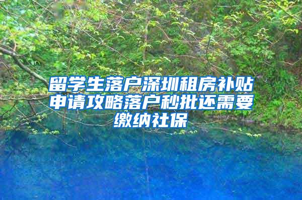 留学生落户深圳租房补贴申请攻略落户秒批还需要缴纳社保