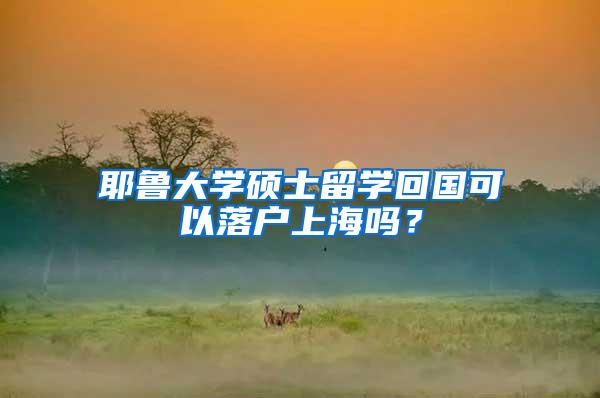 耶鲁大学硕士留学回国可以落户上海吗？