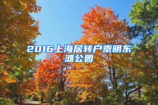 2016上海居转户崇明东滩公园