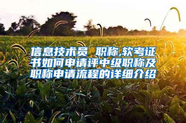 信息技术员 职称,软考证书如何申请评中级职称及职称申请流程的详细介绍