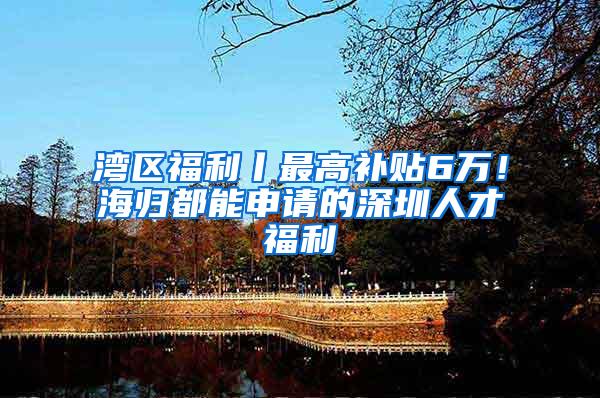 湾区福利丨最高补贴6万！海归都能申请的深圳人才福利