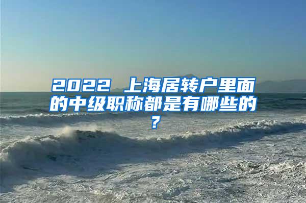 2022 上海居转户里面的中级职称都是有哪些的？