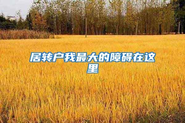 居转户我最大的障碍在这里