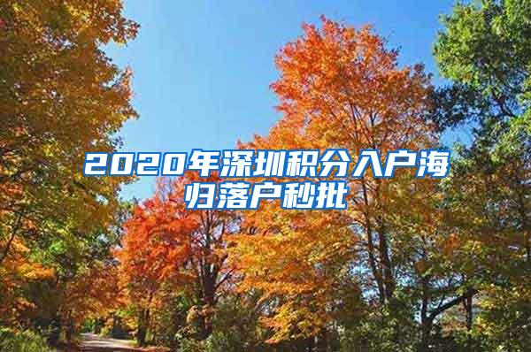 2020年深圳积分入户海归落户秒批