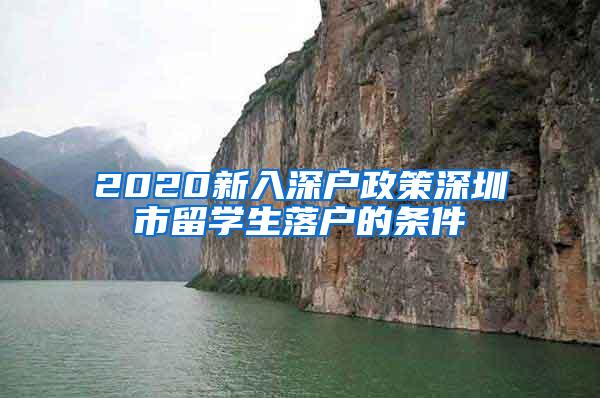 2020新入深户政策深圳市留学生落户的条件