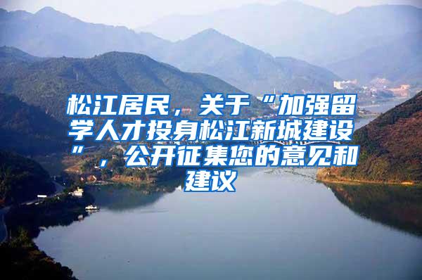松江居民，关于“加强留学人才投身松江新城建设”，公开征集您的意见和建议→