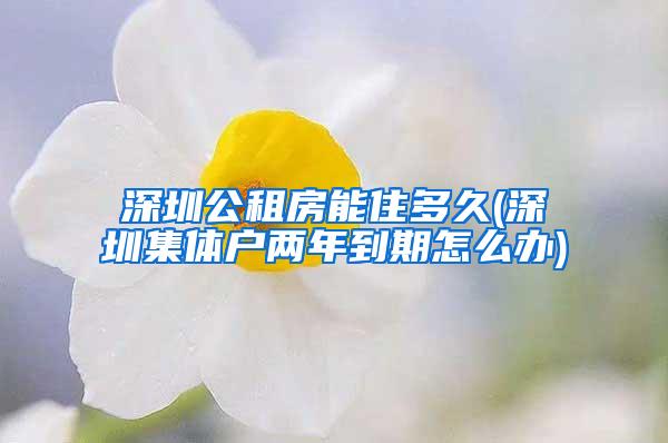 深圳公租房能住多久(深圳集体户两年到期怎么办)