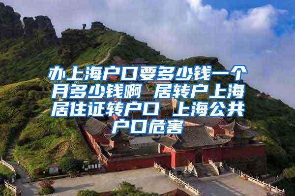 办上海户口要多少钱一个月多少钱啊 居转户上海居住证转户口 上海公共户口危害