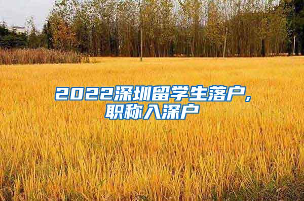 2022深圳留学生落户,职称入深户