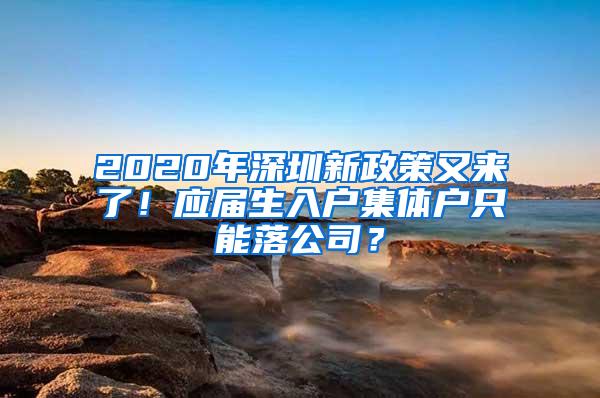 2020年深圳新政策又来了！应届生入户集体户只能落公司？