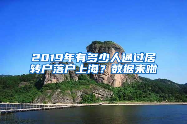 2019年有多少人通过居转户落户上海？数据来啦