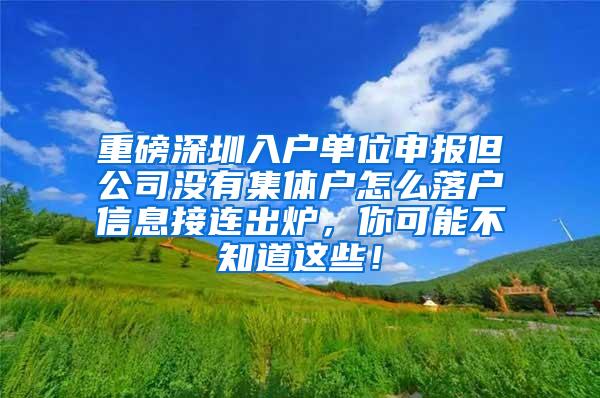 重磅深圳入户单位申报但公司没有集体户怎么落户信息接连出炉，你可能不知道这些！