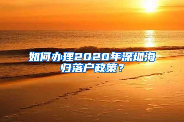 如何办理2020年深圳海归落户政策？