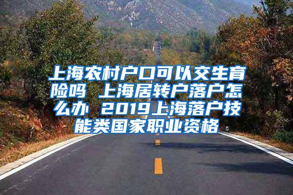 上海农村户口可以交生育险吗 上海居转户落户怎么办 2019上海落户技能类国家职业资格