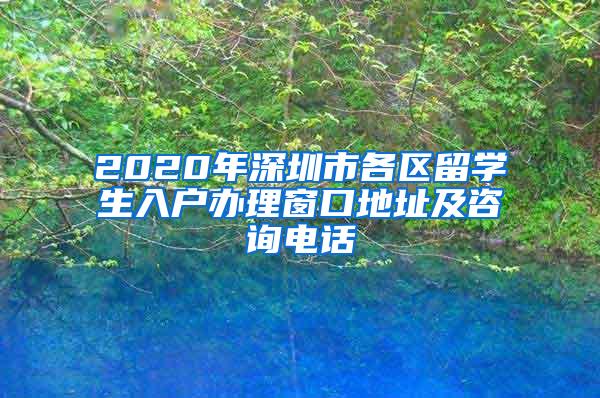 2020年深圳市各区留学生入户办理窗口地址及咨询电话