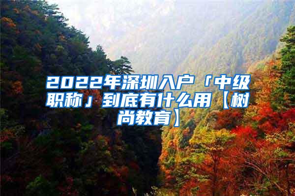 2022年深圳入户「中级职称」到底有什么用【树尚教育】