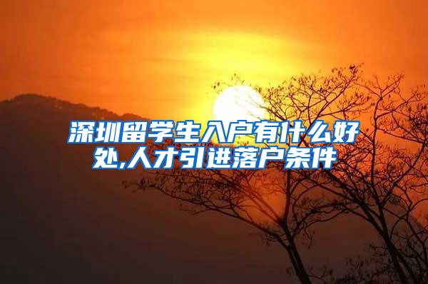 深圳留学生入户有什么好处,人才引进落户条件