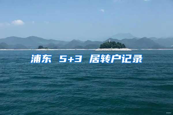 浦东 5+3 居转户记录