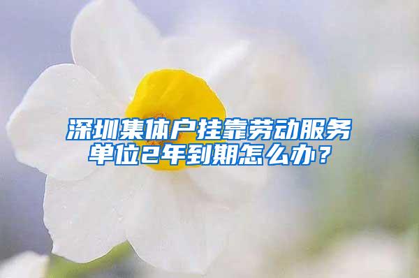 深圳集体户挂靠劳动服务单位2年到期怎么办？